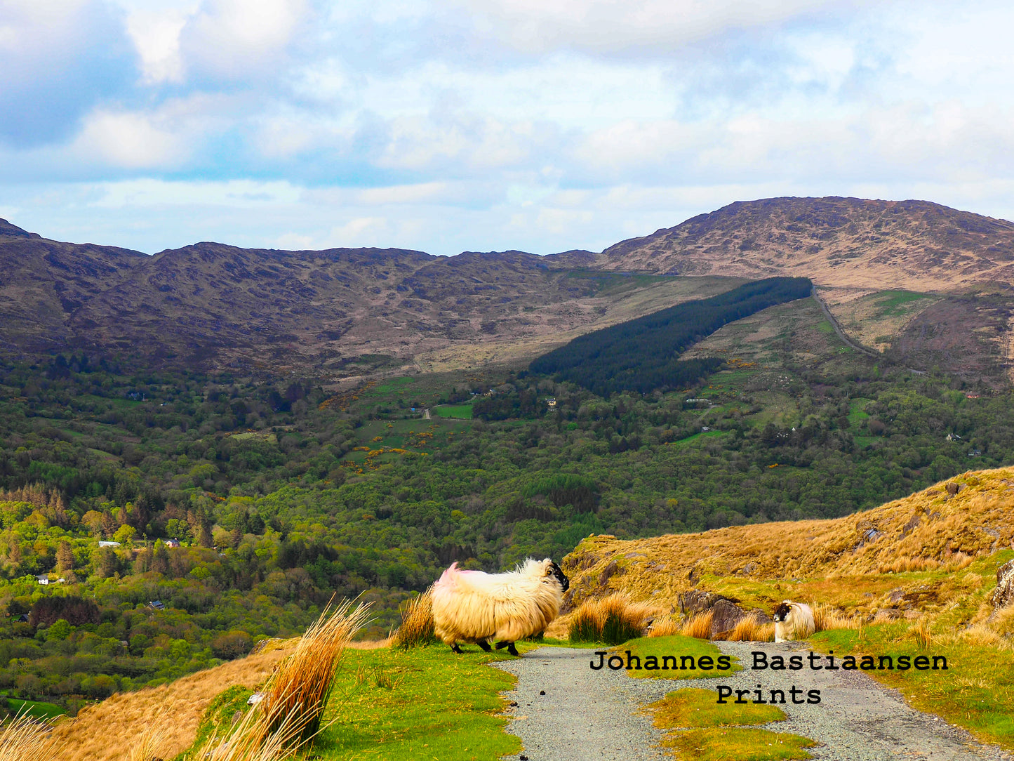 Images of Ireland card pack 3