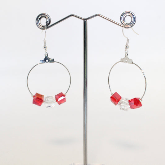 Earrings 1 Hoop