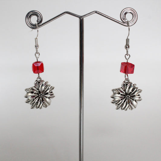Earrings 20