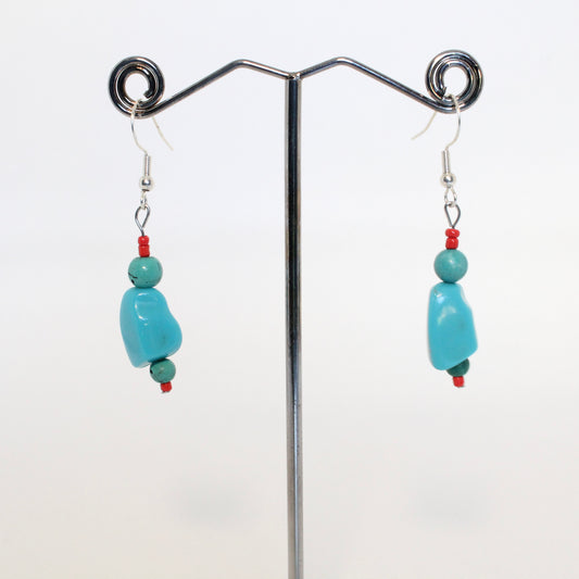 Earrings 21